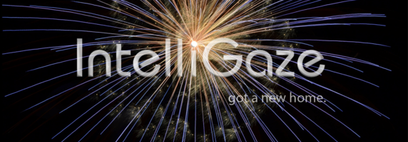 IntelliGaze- FireWorks